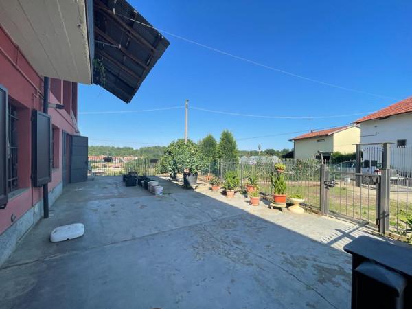 immagine annuncio 8 di 15