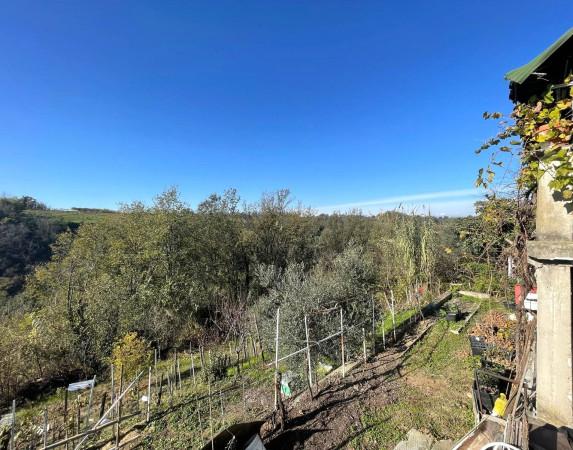 immagine annuncio 11 di 14