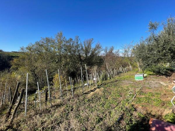 immagine annuncio 12 di 14