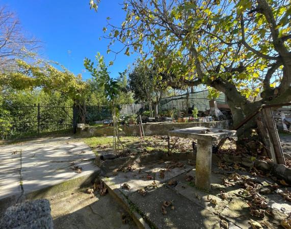 immagine annuncio 10 di 14