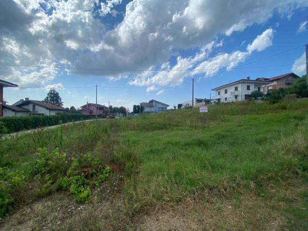 immagine annuncio 4 di 7