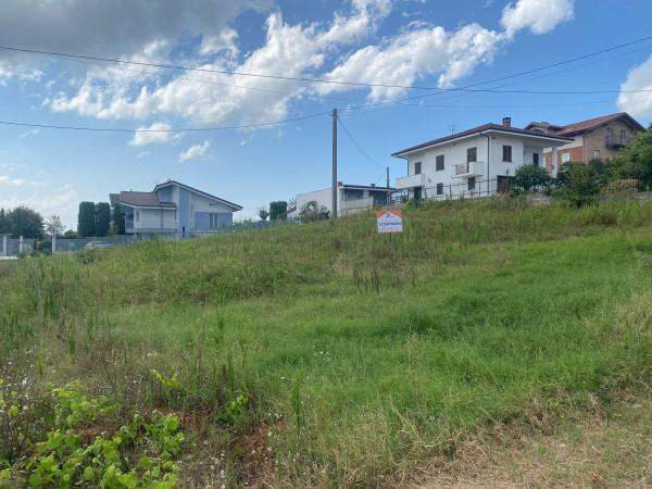 immagine annuncio 1 di 7