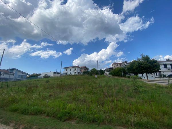 immagine annuncio 6 di 7