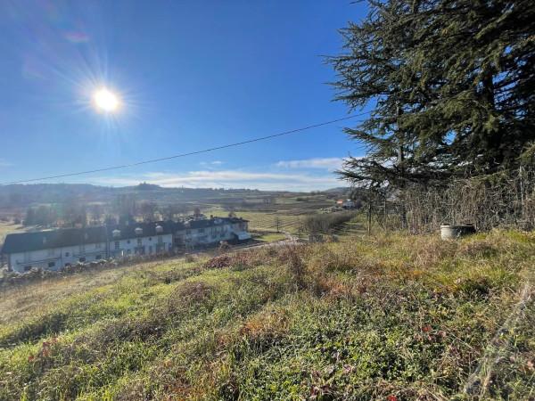 immagine annuncio 6 di 12