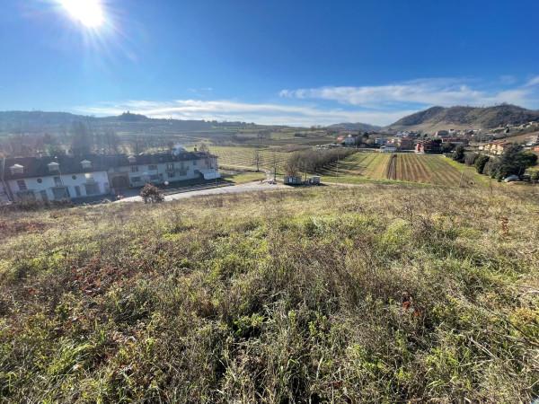 immagine annuncio 9 di 12