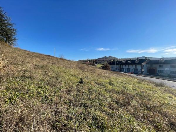 immagine annuncio 8 di 12