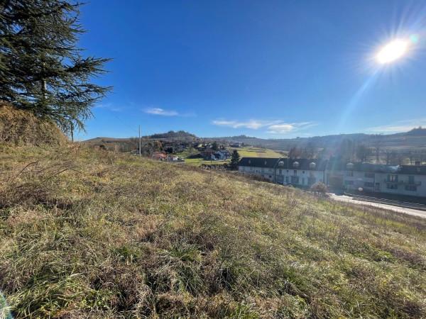 immagine annuncio 10 di 12