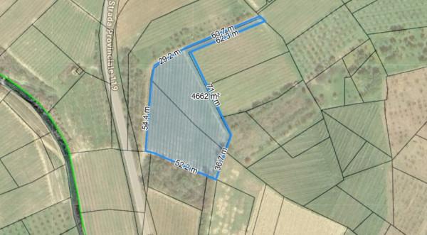 immagine annuncio 4 di 6