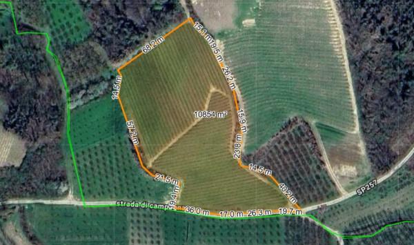 immagine annuncio 1 di 6