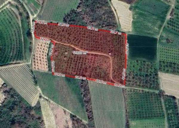 immagine annuncio 2 di 6