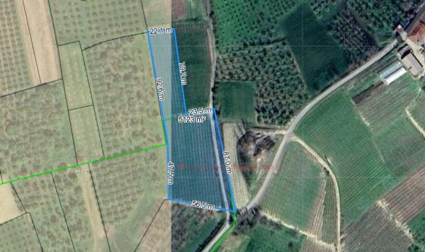 immagine annuncio 5 di 6