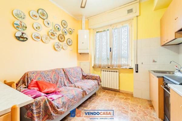 immagine annuncio 4 di 15