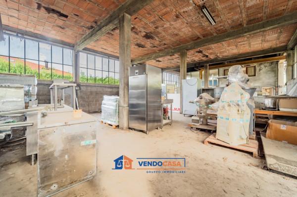 immagine annuncio 10 di 15