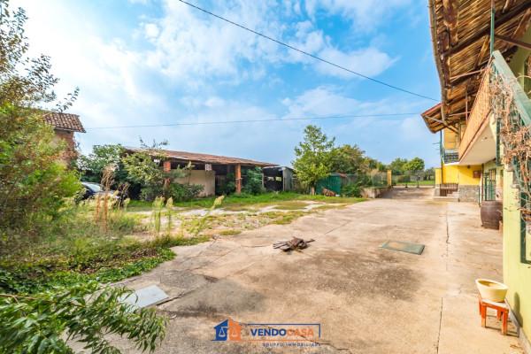 immagine annuncio 5 di 15