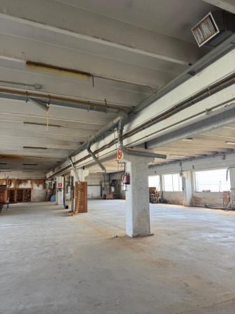 immagine annuncio 2 di 9