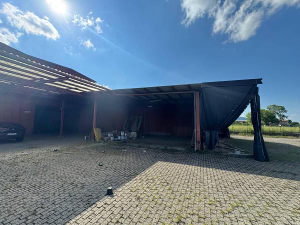 immagine annuncio 6 di 9