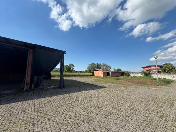 immagine annuncio 5 di 9