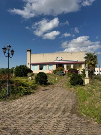 immagine annuncio 1 di 9