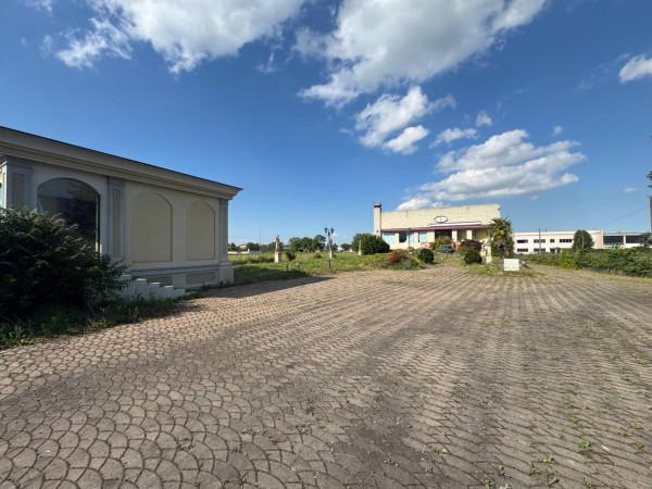 immagine annuncio 8 di 9