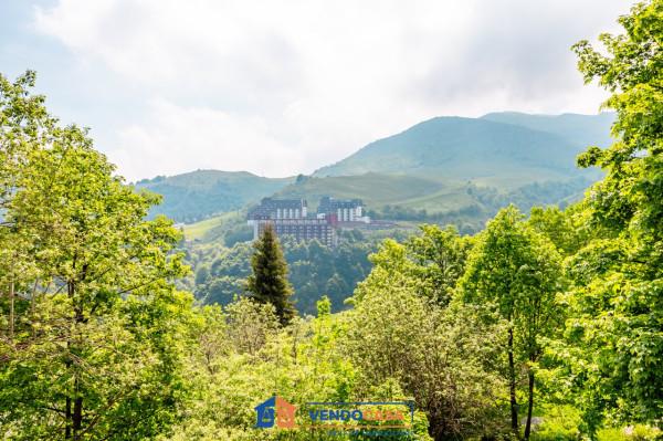 immagine annuncio 12 di 13