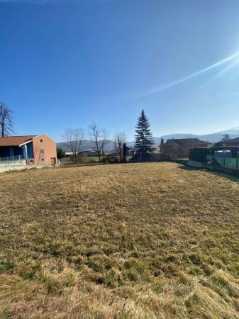 immagine annuncio 4 di 6