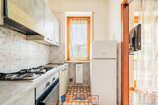 immagine annuncio 3 di 12