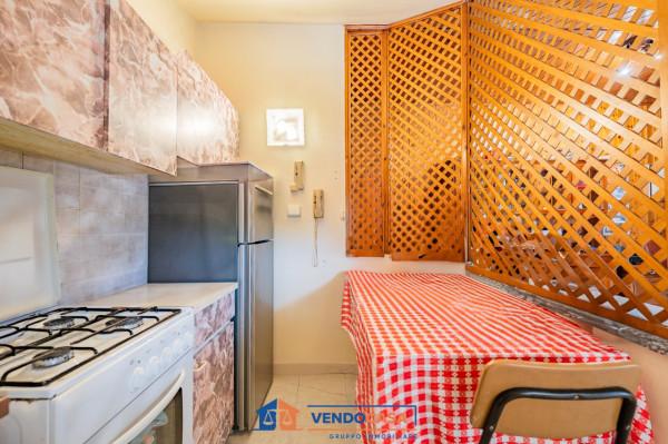 immagine annuncio 9 di 15