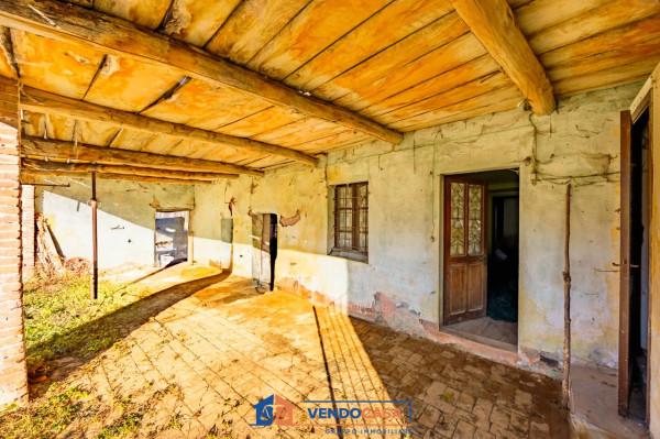 immagine annuncio 3 di 11