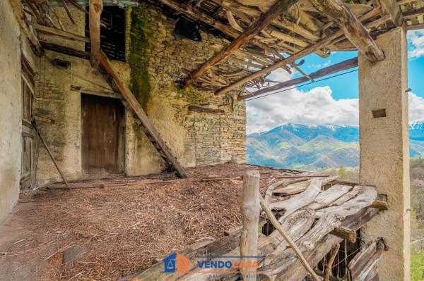 immagine annuncio 3 di 7