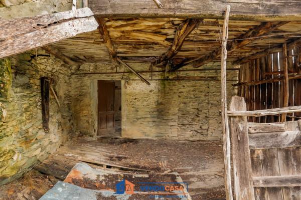 immagine annuncio 4 di 7