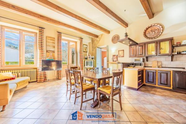 immagine annuncio 10 di 15