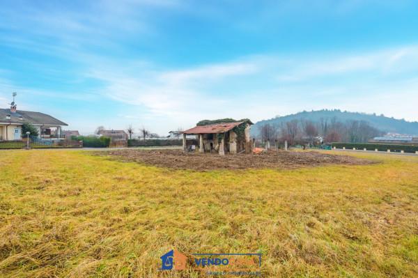 immagine annuncio 11 di 15