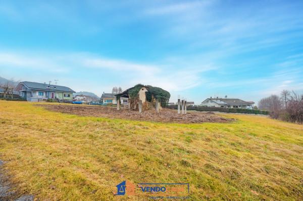 immagine annuncio 10 di 15