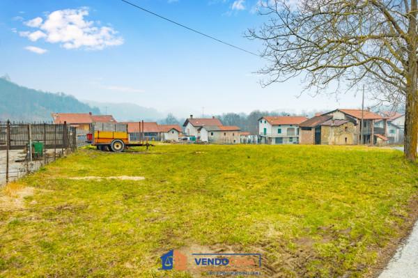 immagine annuncio 1 di 6