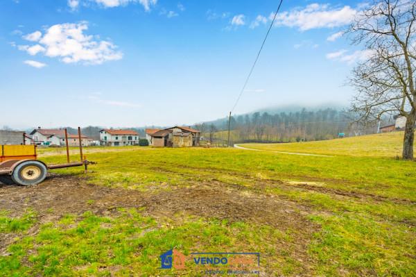 immagine annuncio 3 di 6