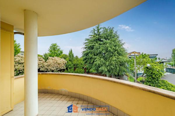 immagine annuncio 6 di 15