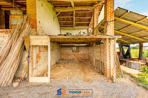 immagine annuncio 7 di 14