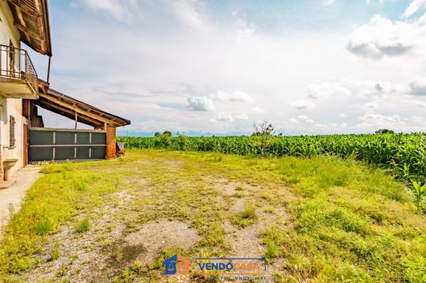 immagine annuncio 11 di 14