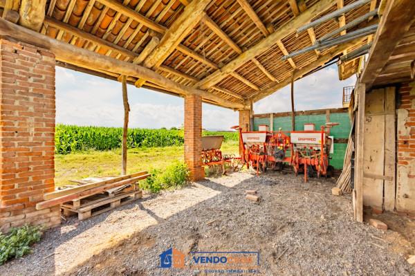 immagine annuncio 9 di 14