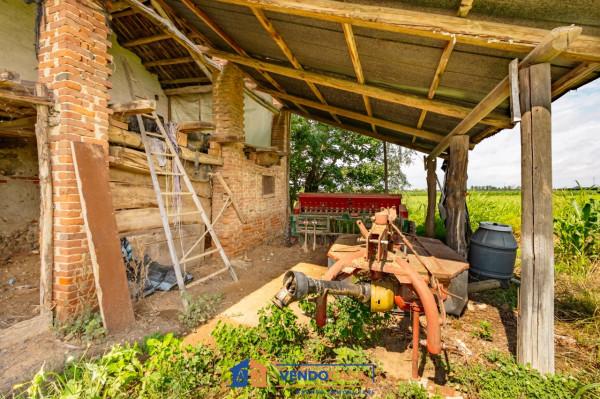 immagine annuncio 12 di 14