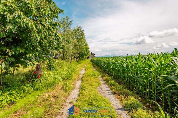 immagine annuncio 13 di 14