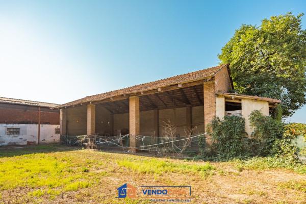 immagine annuncio 6 di 14