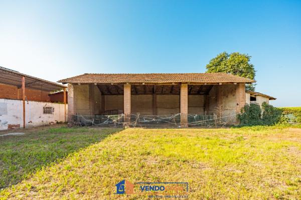 immagine annuncio 7 di 14