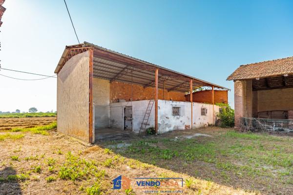 immagine annuncio 8 di 14