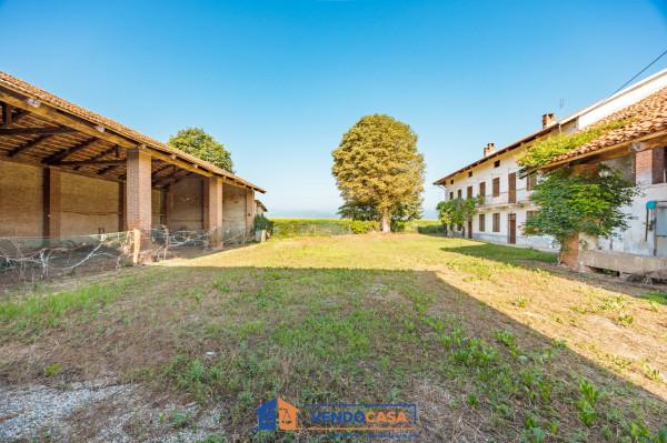 immagine annuncio 9 di 14