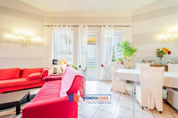 immagine annuncio 1 di 15