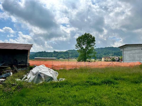 immagine annuncio 11 di 12