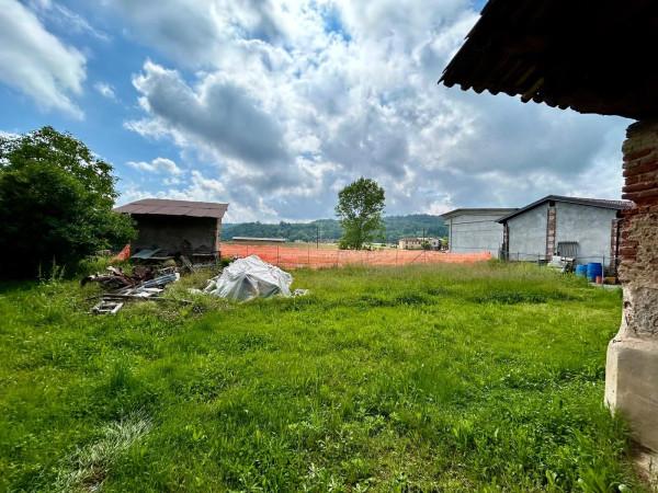 immagine annuncio 10 di 12