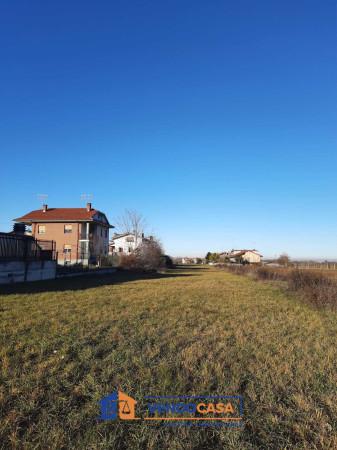 immagine annuncio 2 di 8