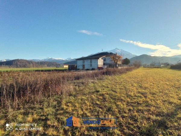 immagine annuncio 3 di 8